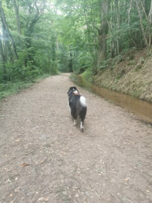 Atlas sur le sentier celte d'Autun