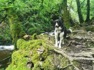 Atlas dans les gorges de la canche weekend à autun