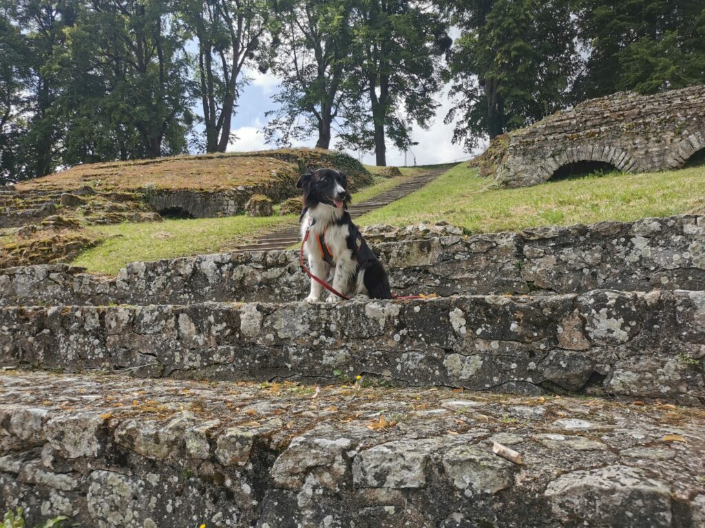 Atlas au théâtre romain d'autun