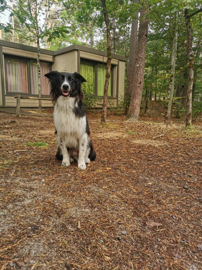 Center Parcs avec son chien