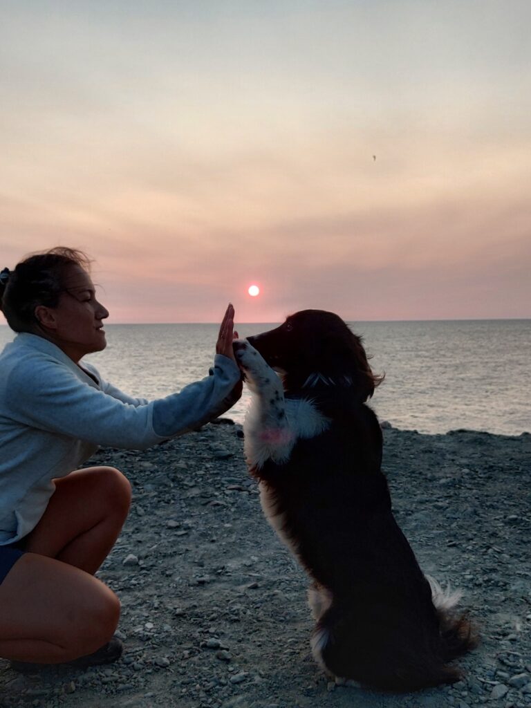 Argelès-sur-Mer avec son chien : randonner pyrénées Orientales avec son chien