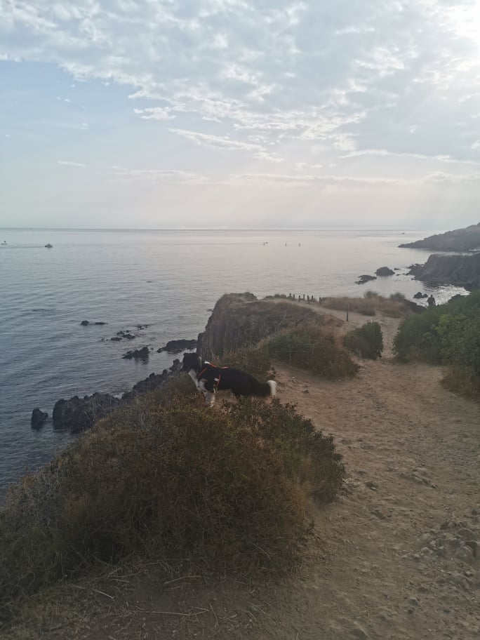 Le sentier littoral à Argelès-sur-Mer