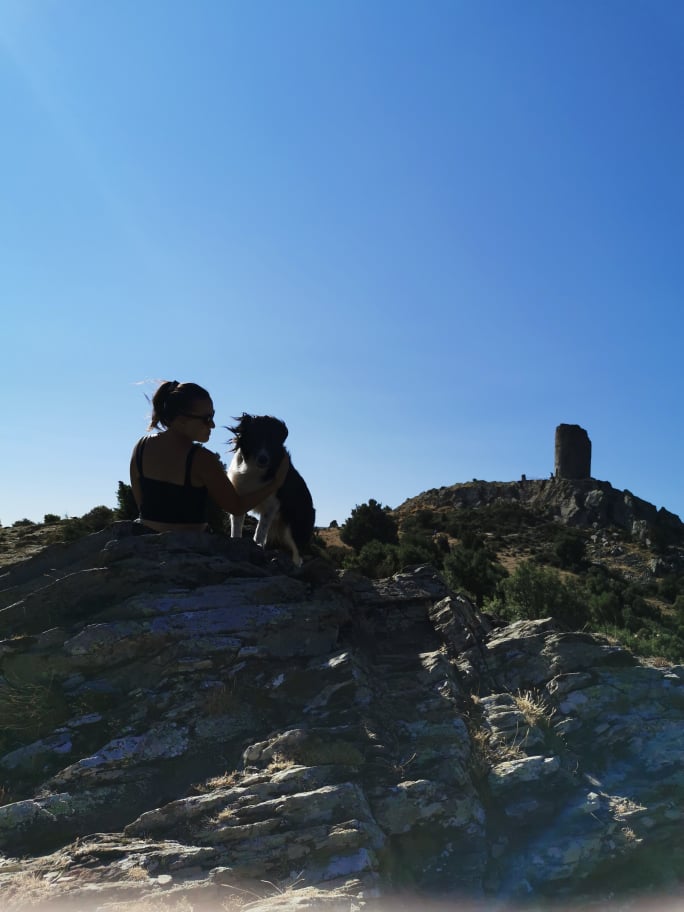 Tour de la Massane : randonnées dans les pyrénées orientales avec son chien 