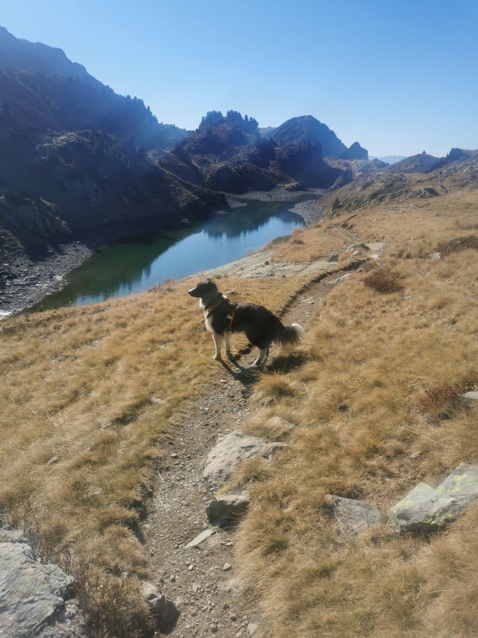 Un des lacs de la pra avec mon chien