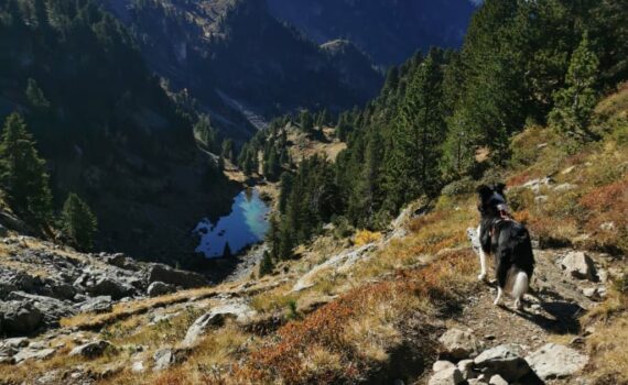 Lac Léama randonnées aux lacs de la pra avec son chien