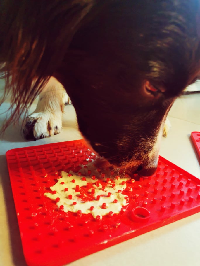 Le tapis de léchage pour chien : Lick Mat rouge