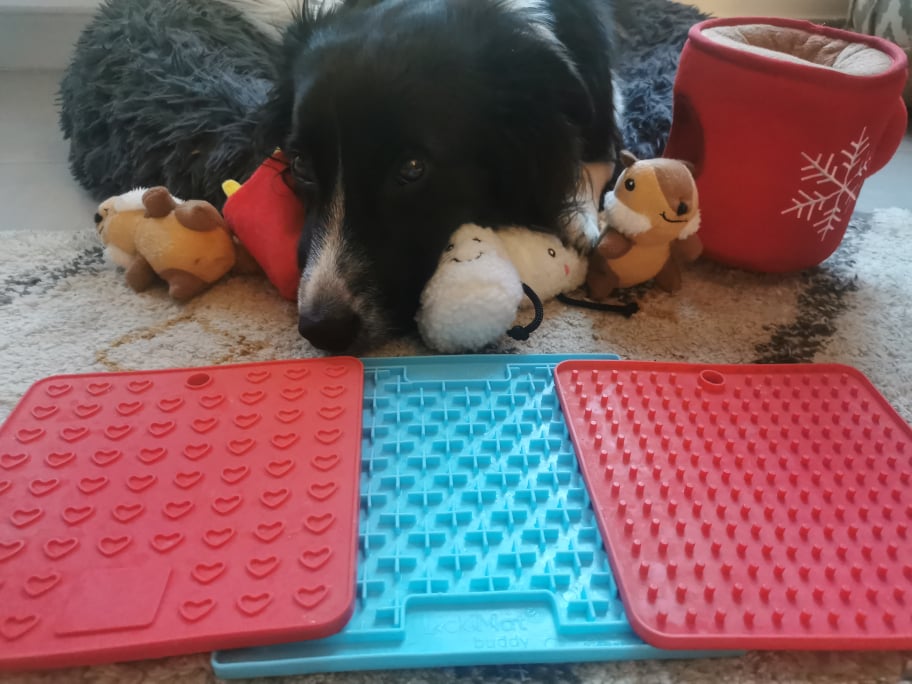 Le tapis de léchage pour chien : comparatifs