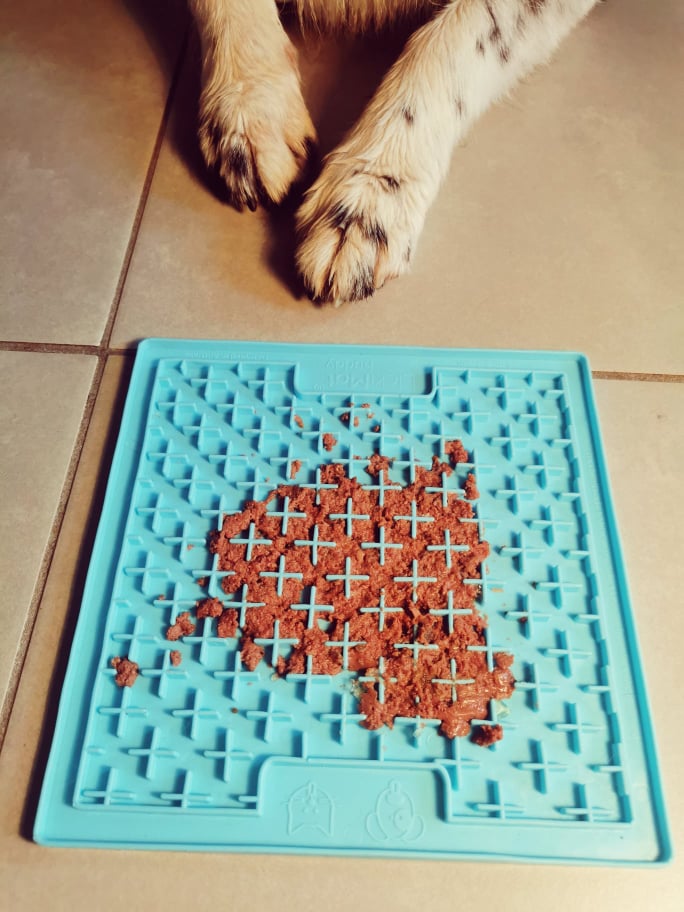 Tapis de léchage pour chien avec pâtée pour chien