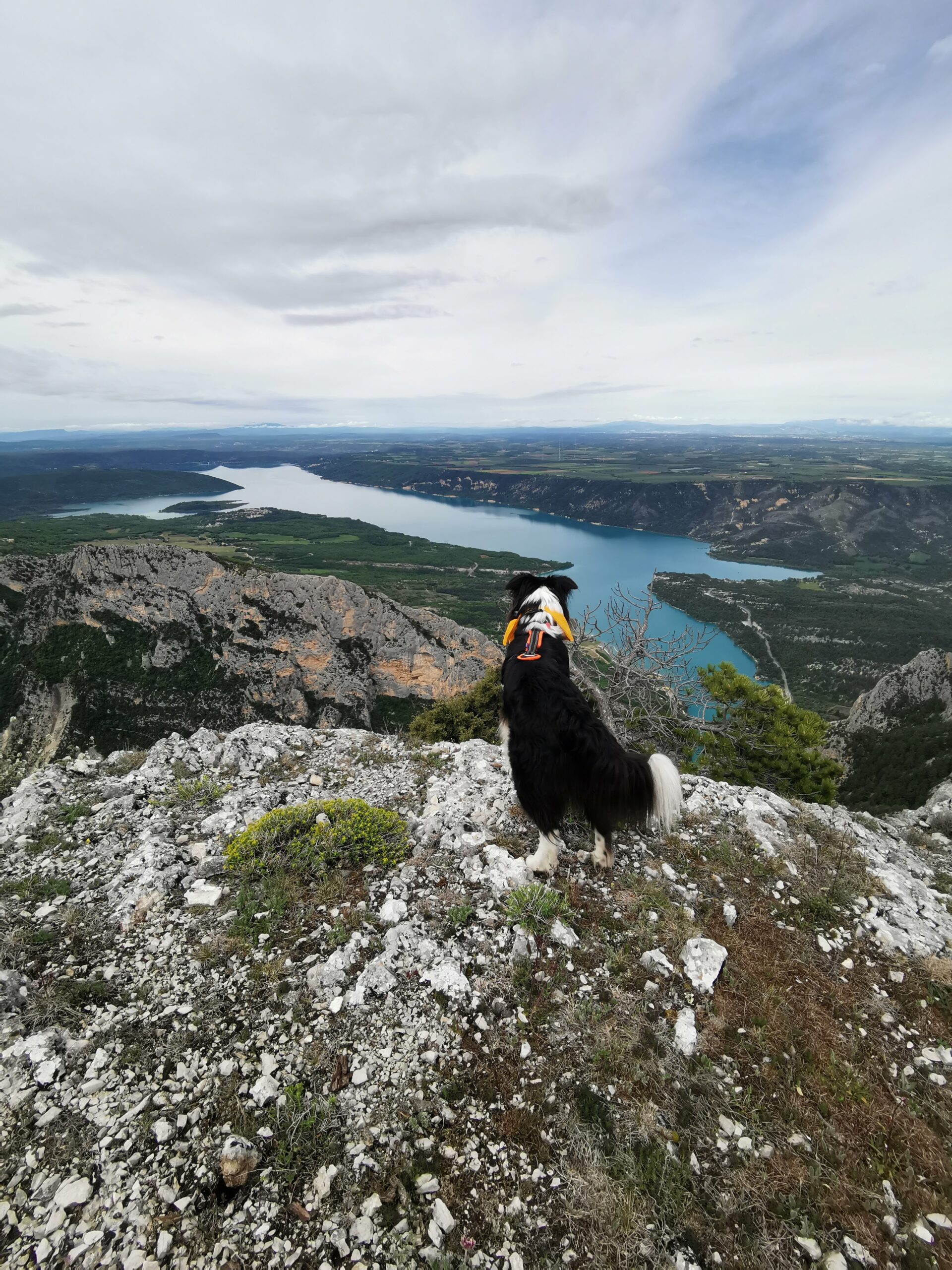 Gorges du Verdon avec son chien