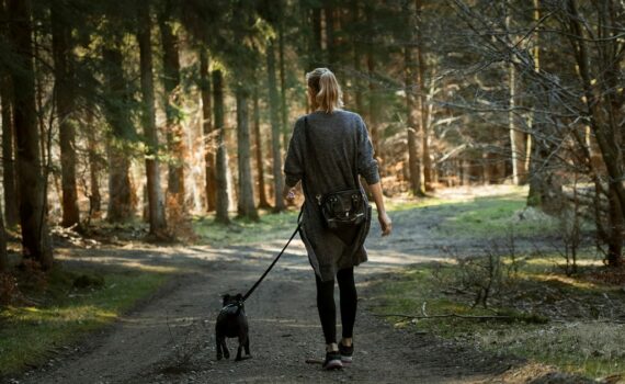 Où promener son chien ?