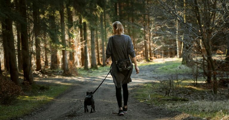 Où promener son chien ?