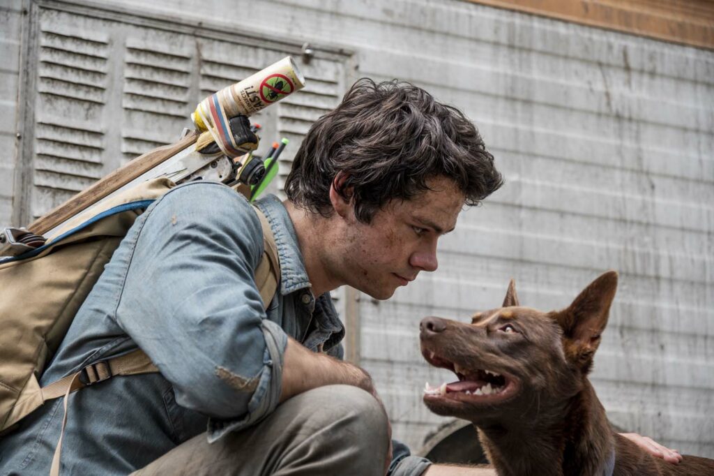 Films de chien sur Netflix