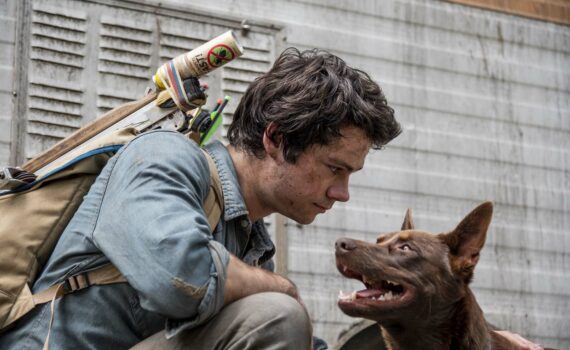 Films de chien sur Netflix