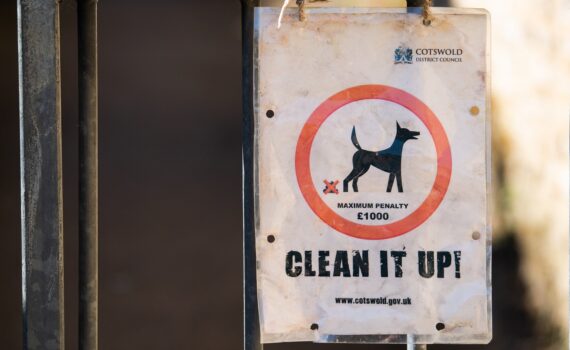 Ramasser le caca de son chien