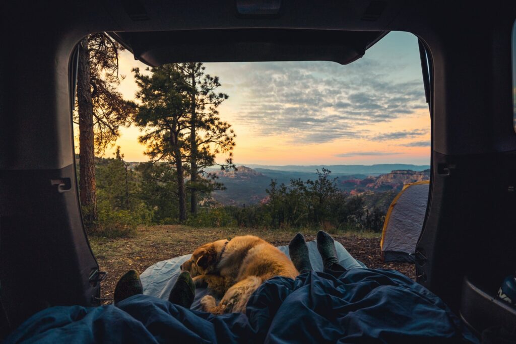 Faire du camping avec son chien