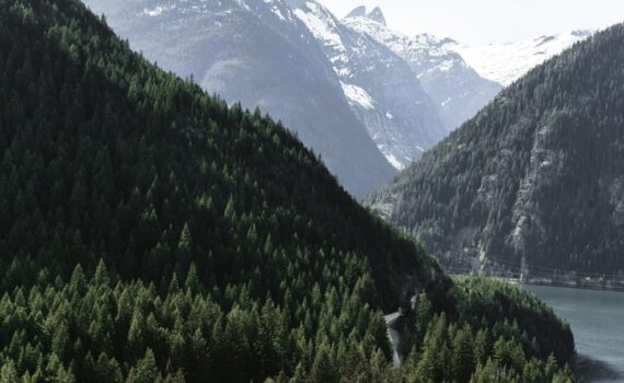 Monts du Lyonnais : points de vues