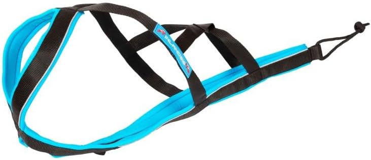 harnais inlandsis cani rando