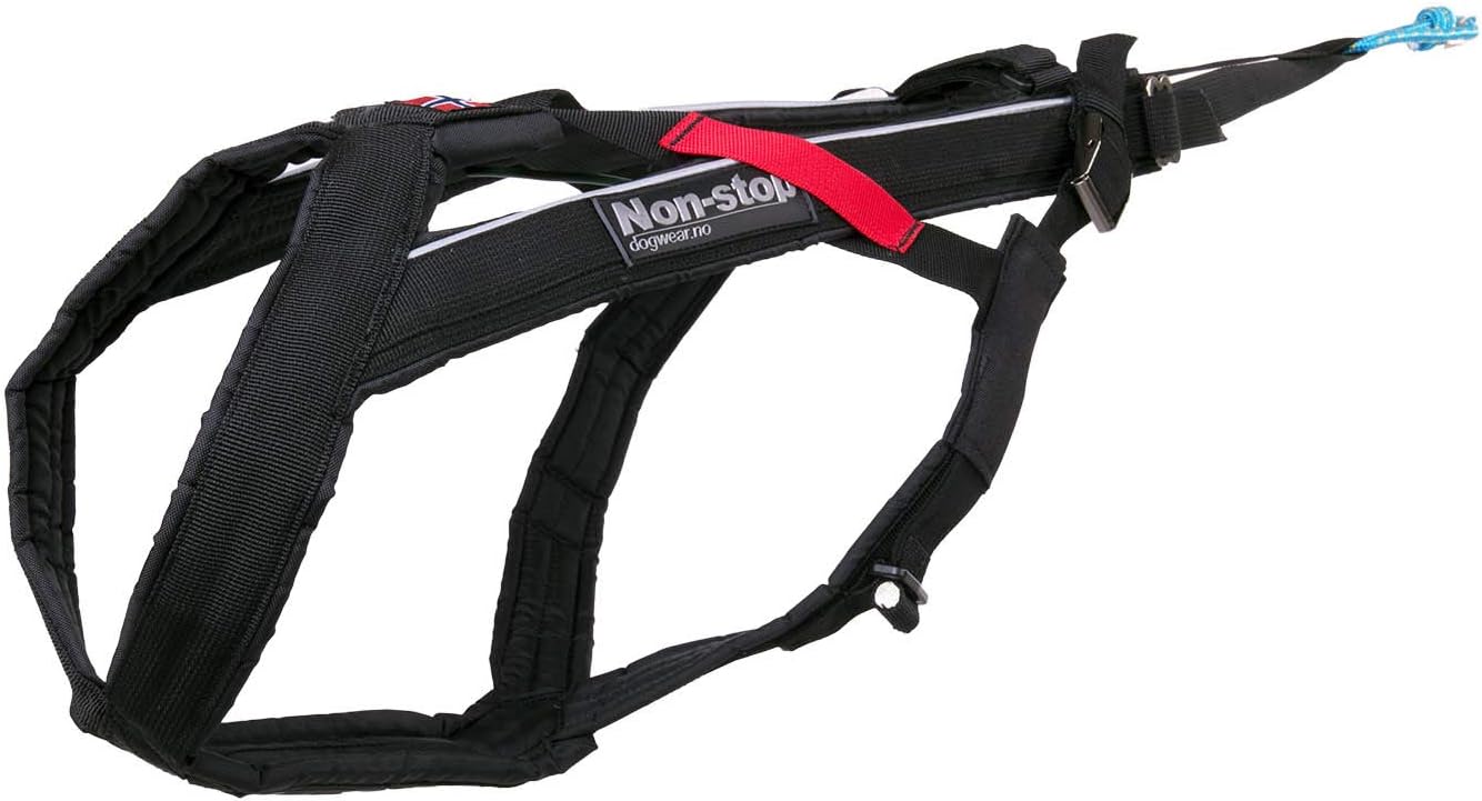 harnais traction cani randonée