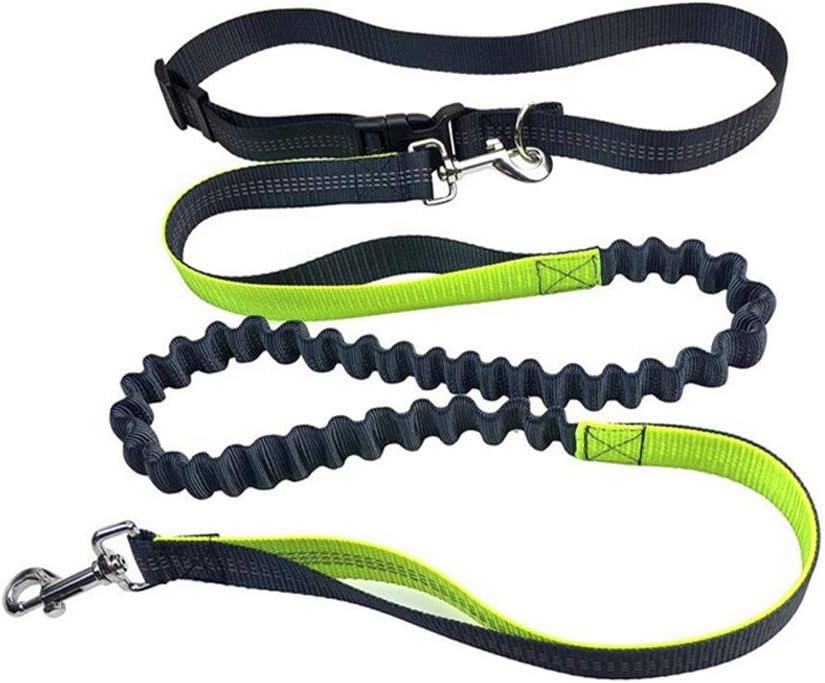 équipement cani rando laisse pas chère