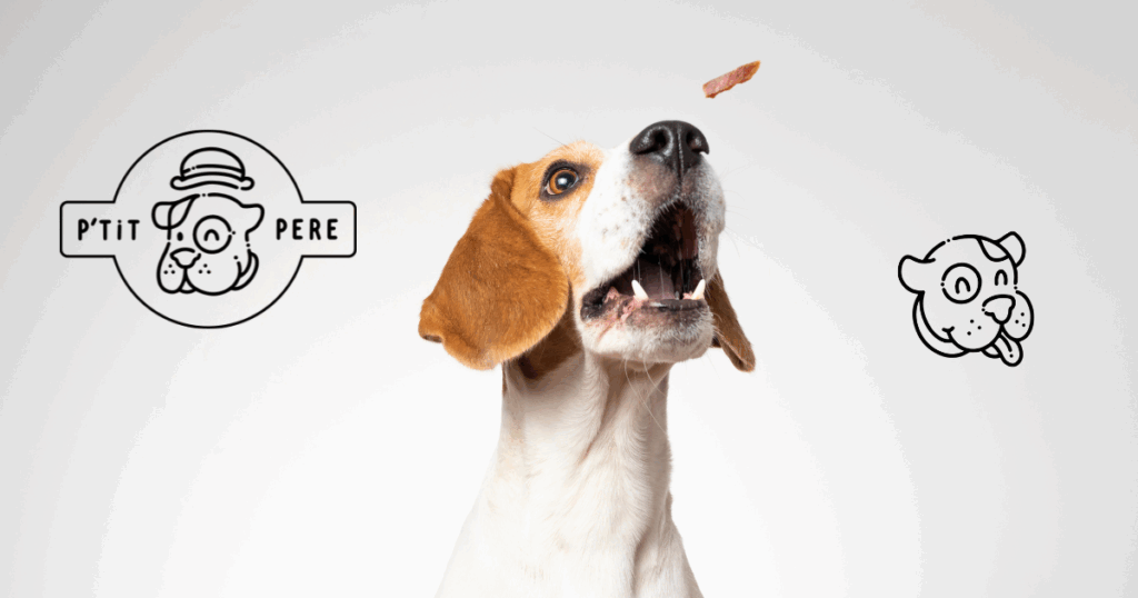 code promo p'tit père