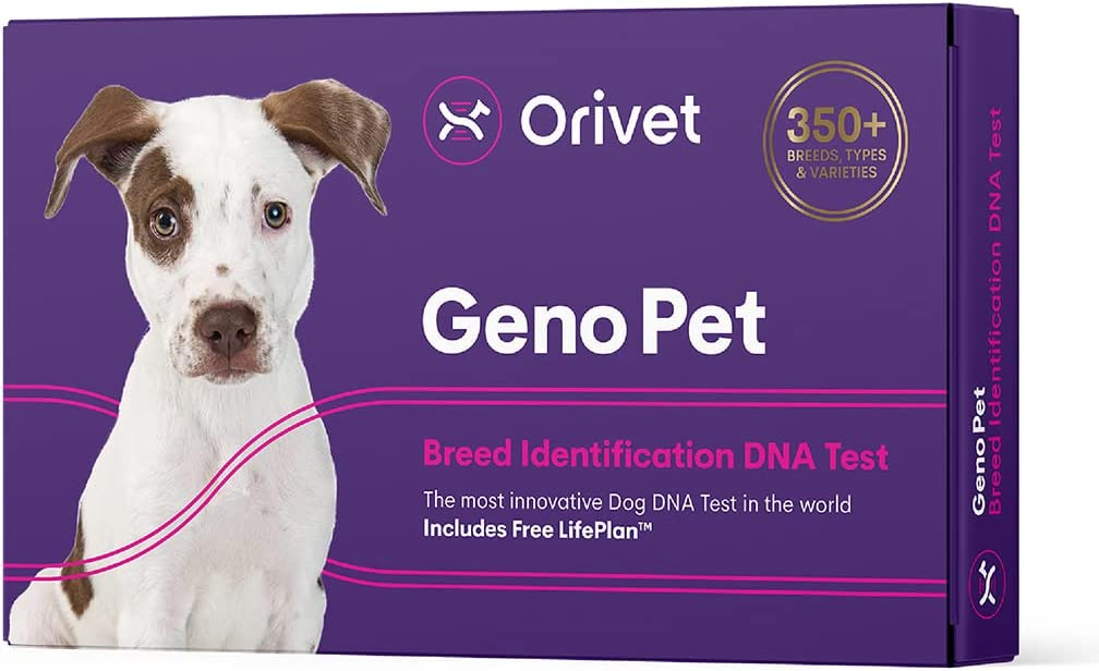 Aux Etats-Unis, même les chiens ont leur test ADN