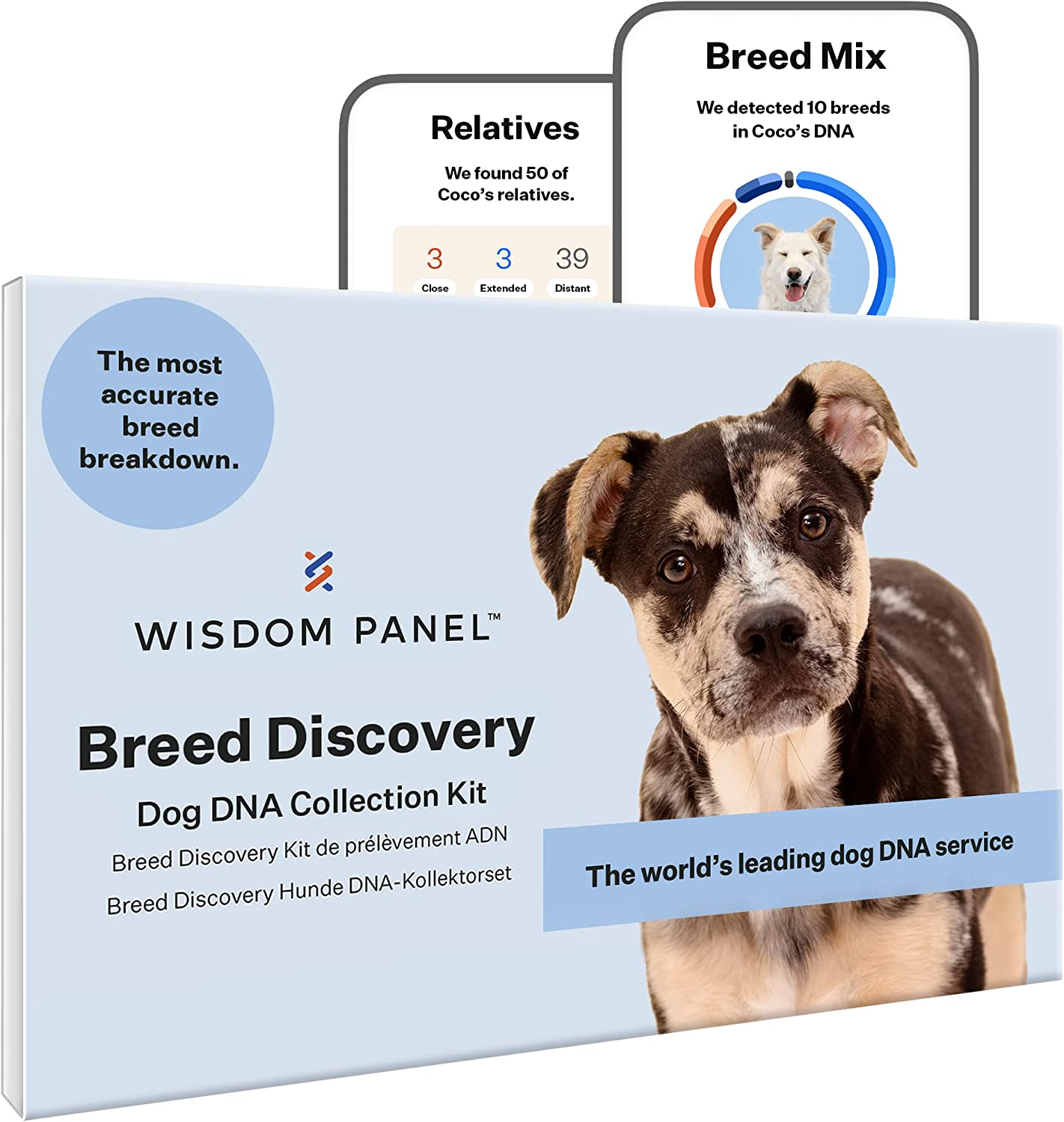Test ADN pour Chien Mon Avis 🧬🐕 — free download