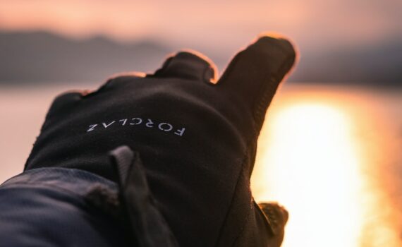 Décathlon chien : les meilleurs produits