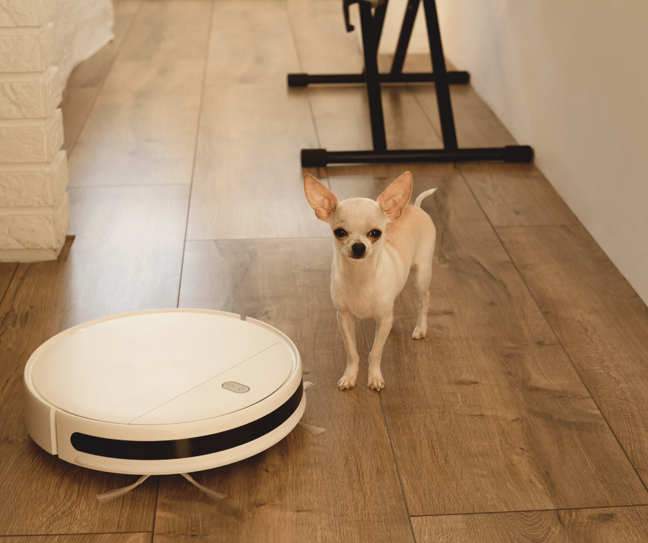 Aspirateur robot pour enlever les poils de chien