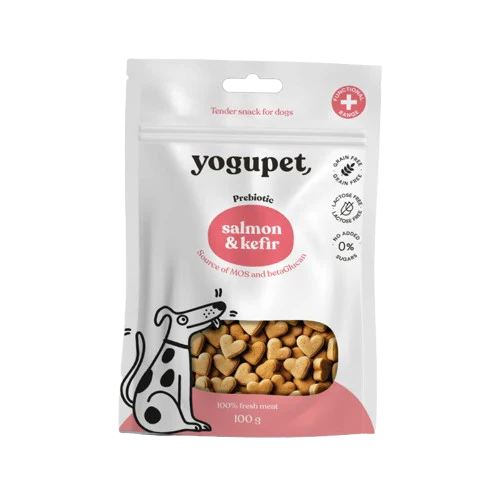 petites friandises vacances chien