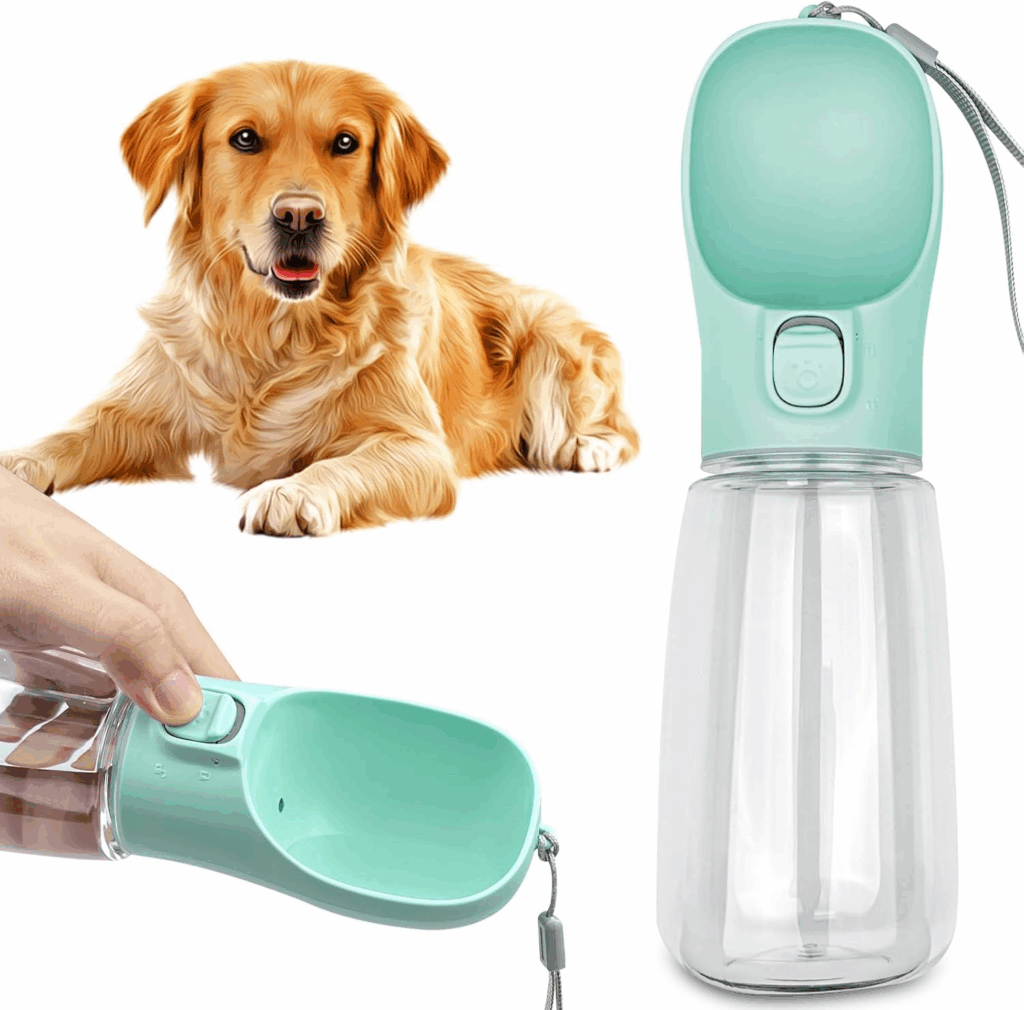 gourde liste vacances chien