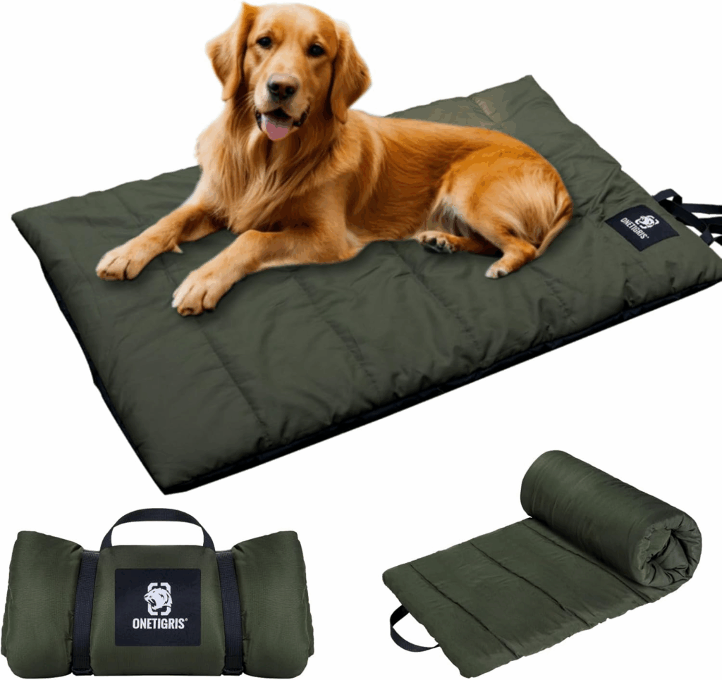 tapis liste vacances chien