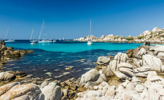 Voyager en corse avec son chien