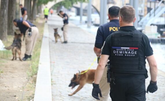 Les chiens aux JO de Paris 2024