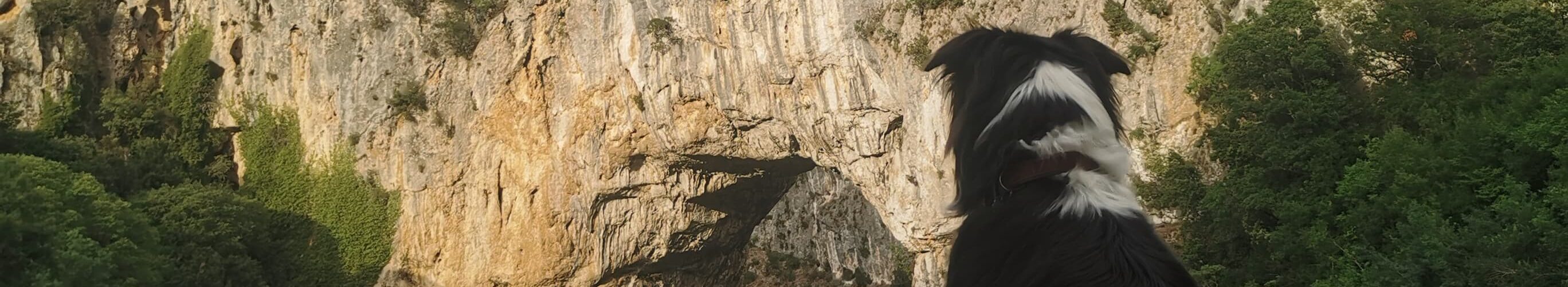 Plage à Vallon Pont d'Arc pour chien