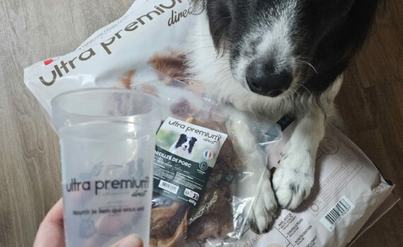 Ultra premium direct pour chien