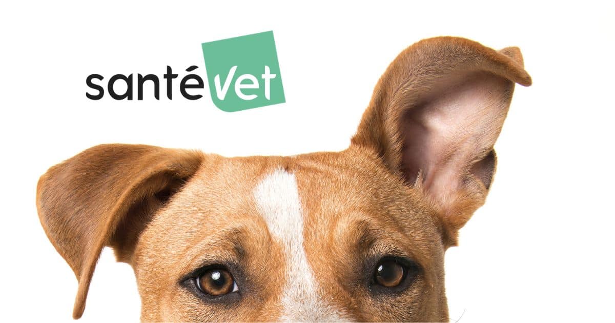 Avis Santévet : retours client, remboursements et tarifs