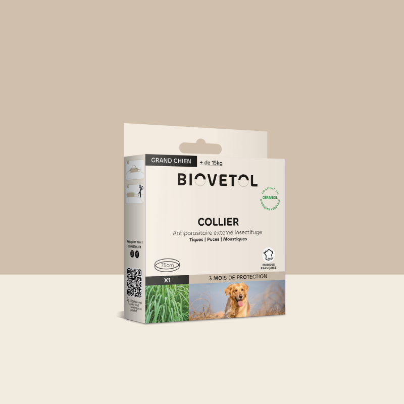 collier anti puce naturel chien