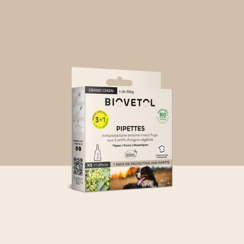 pipette anti puce naturel chien