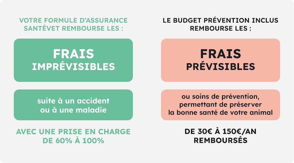 remboursements assurance Santé Vet