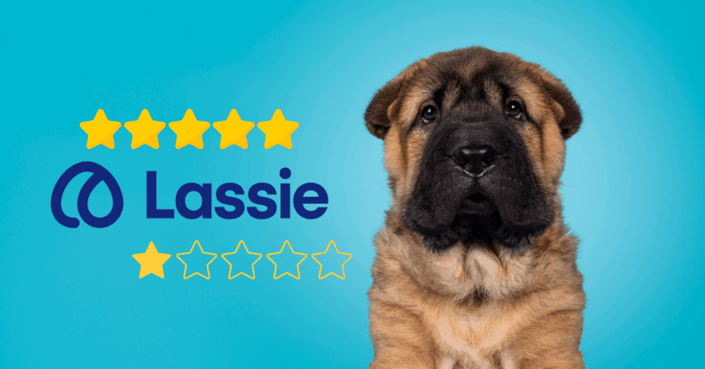 Avis sur l’assurance Lassie : formules, prix et remboursements