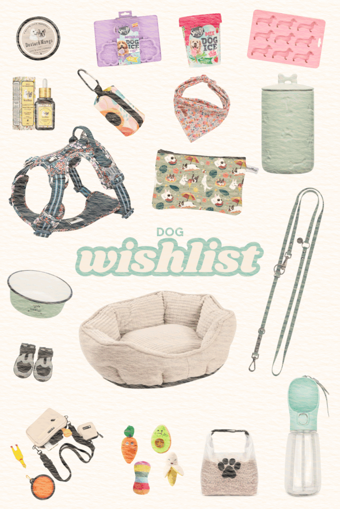 dog wishlist amazon chien
