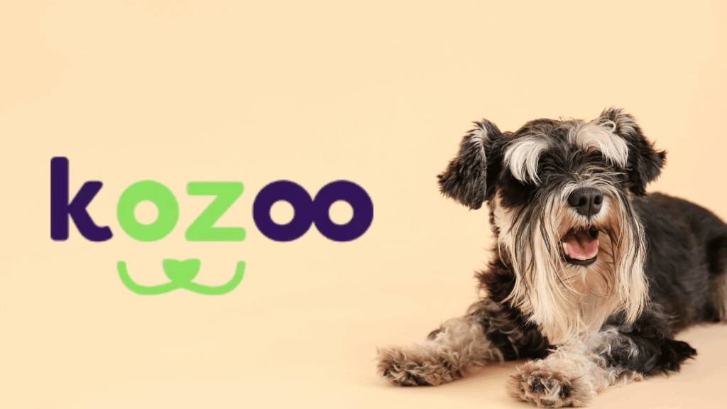 assurance Kozoo chien