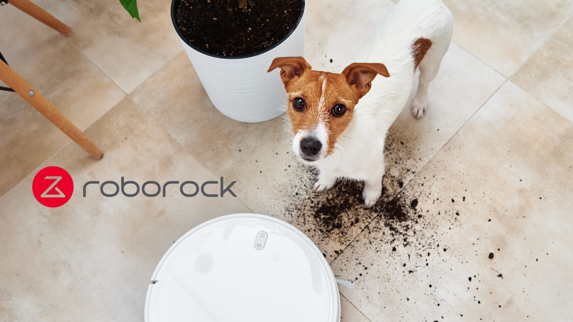 J’ai trouvé un aspirateur Roborock contre les poils de chien : voici les meilleures promotions