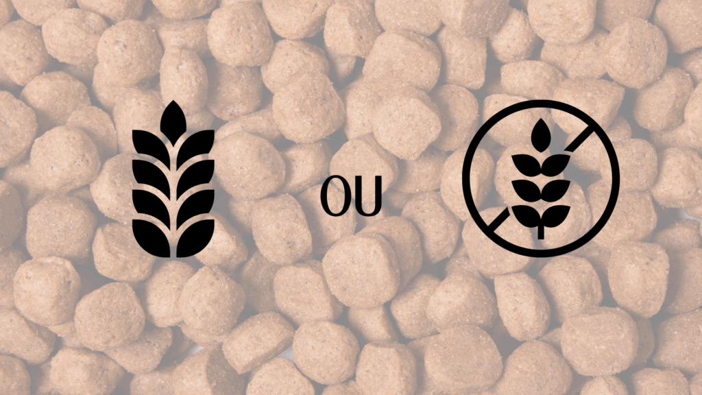 croquettes chien avec ou sans céréales ?