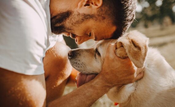 comment assurer mon vieux chien ?