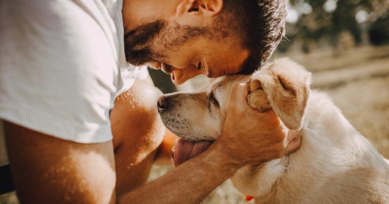 comment assurer mon vieux chien ?