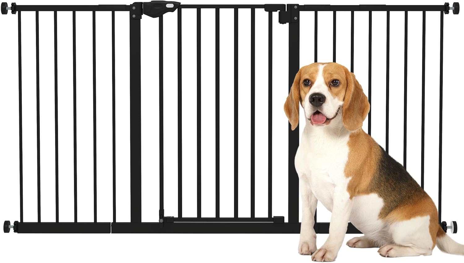 barrière chien extensible pas chère