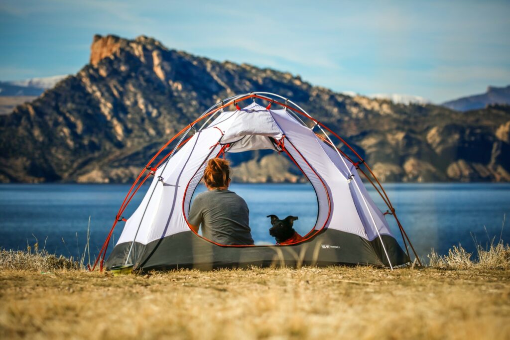 Camper avec un chien réactif