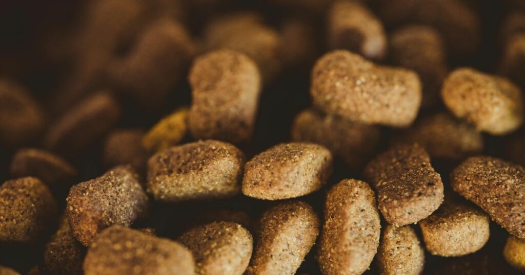 Meilleures croquettes pour chien stérilisé