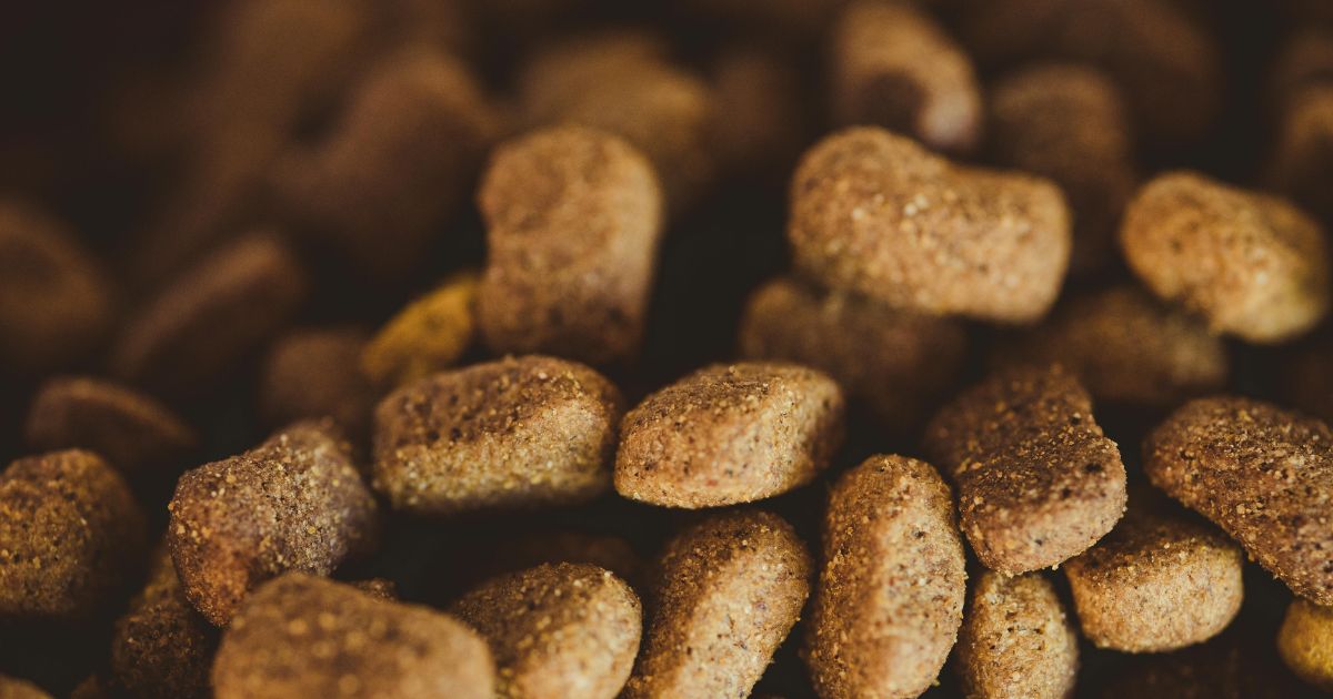 Meilleures croquettes pour chien stérilisé